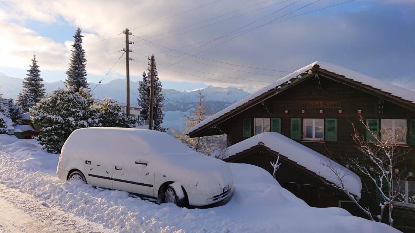 Chalet Friesli Beatenberg Εξωτερικό φωτογραφία